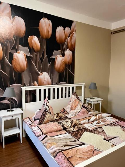 Apartman Galerie เดชชิน ภายนอก รูปภาพ