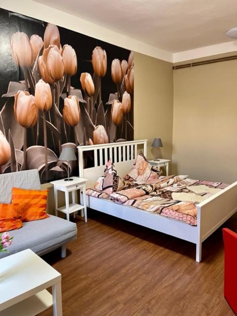 Apartman Galerie เดชชิน ภายนอก รูปภาพ