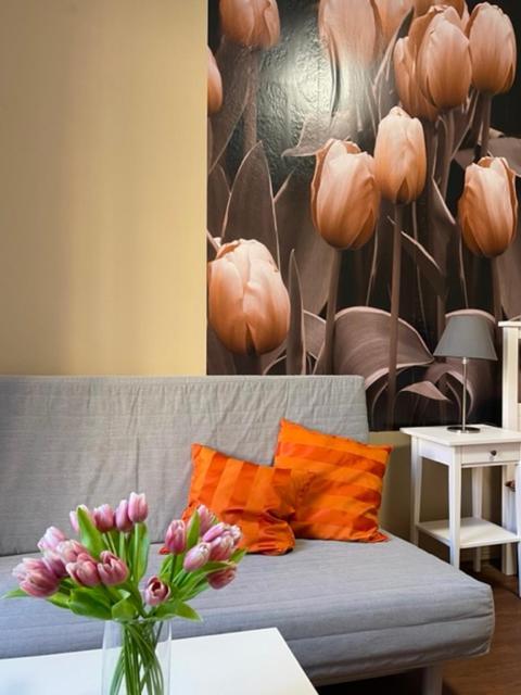 Apartman Galerie เดชชิน ภายนอก รูปภาพ