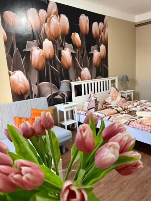 Apartman Galerie เดชชิน ภายนอก รูปภาพ