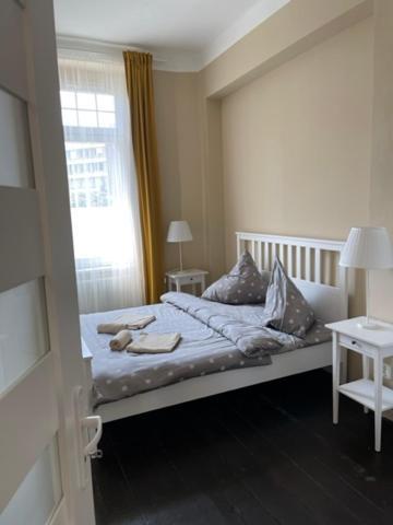 Apartman Galerie เดชชิน ภายนอก รูปภาพ