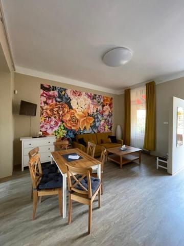 Apartman Galerie เดชชิน ภายนอก รูปภาพ